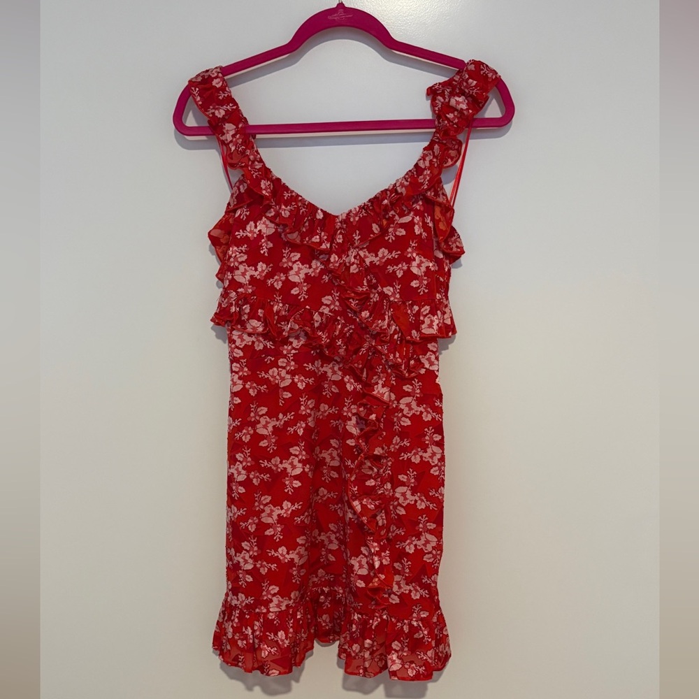 French Connection Eliana Ruffled Burnout Dress ❤️ - Picture 5 of 8
